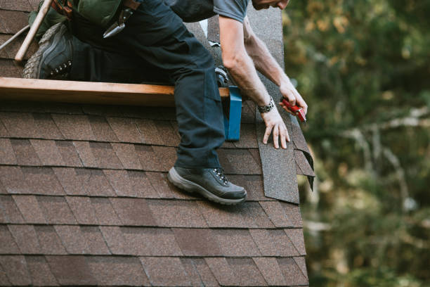 Best Flat Roof Repair Services  in Park Falls, WI