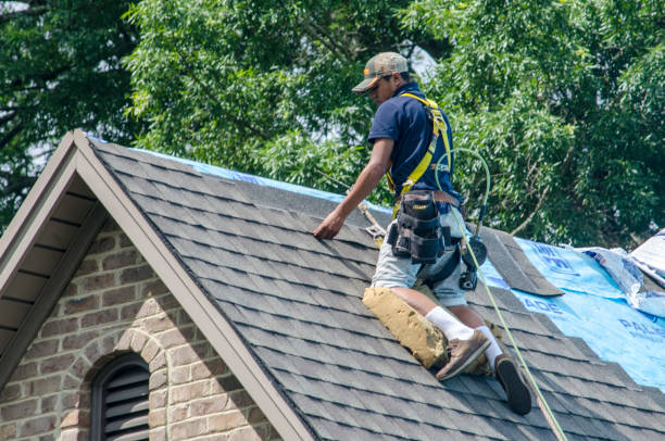 Best Commercial Roofing Services  in Park Falls, WI